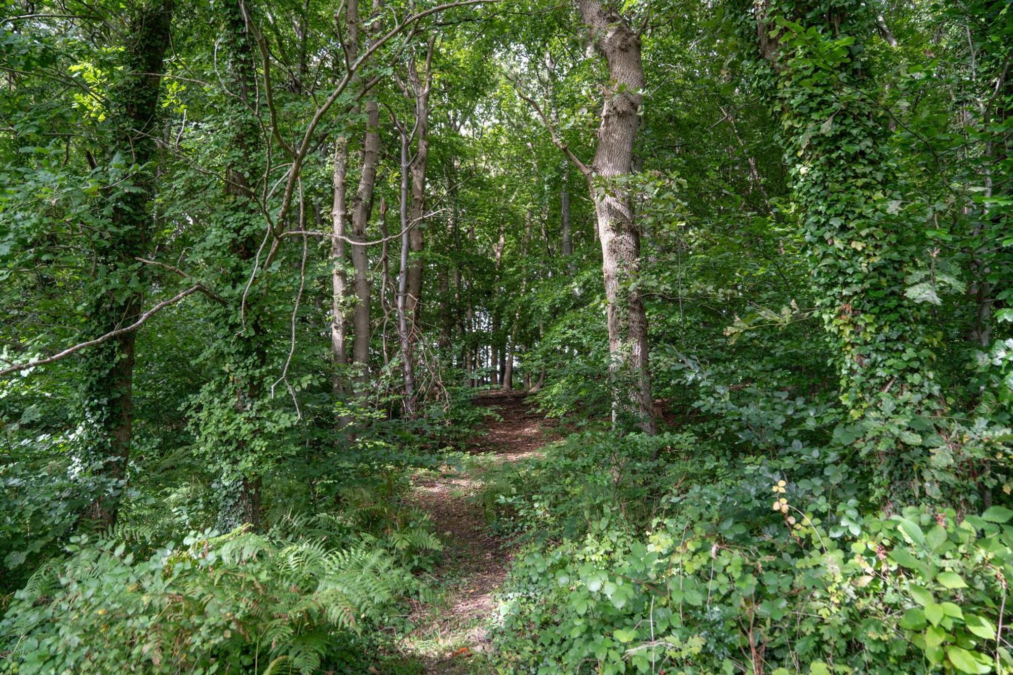 Gite 9 Personnes Fecamp Etretat Colleville Bagian luar foto